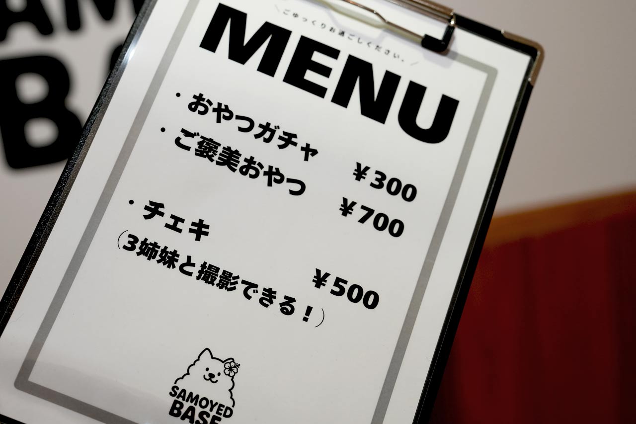 沖縄に3匹の天使が降臨！サモエド3姉妹とたっぷり遊んで癒やされる！究極のモフモフ体験『SAMOYED BASE（サモエドベース）』グランドオープン！