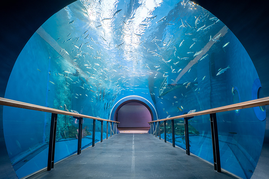 最強の穴場！絶景スポット・関西最大の博物館まで…「滋賀」のおすすめ観光地3選 | Lmaga.jp