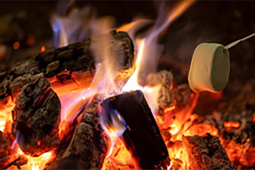 「レイクサイドテラス琵琶湖」のアクティビティイメージ