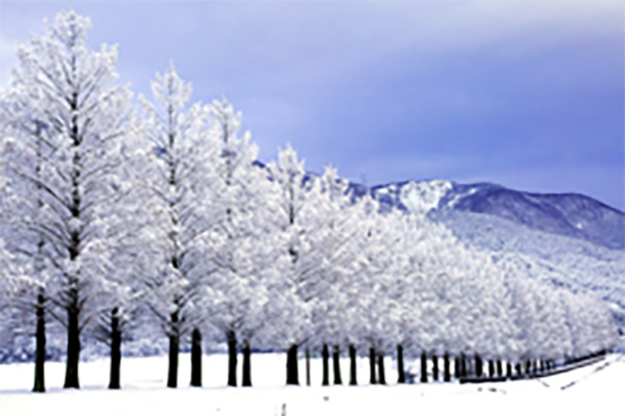 「マキノピックランド」内のイメージ