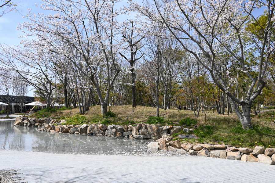 「メディアデー」（９日実施）に会場内で、「桜咲いてる～」「キレイ！」と声が上がっていたのは