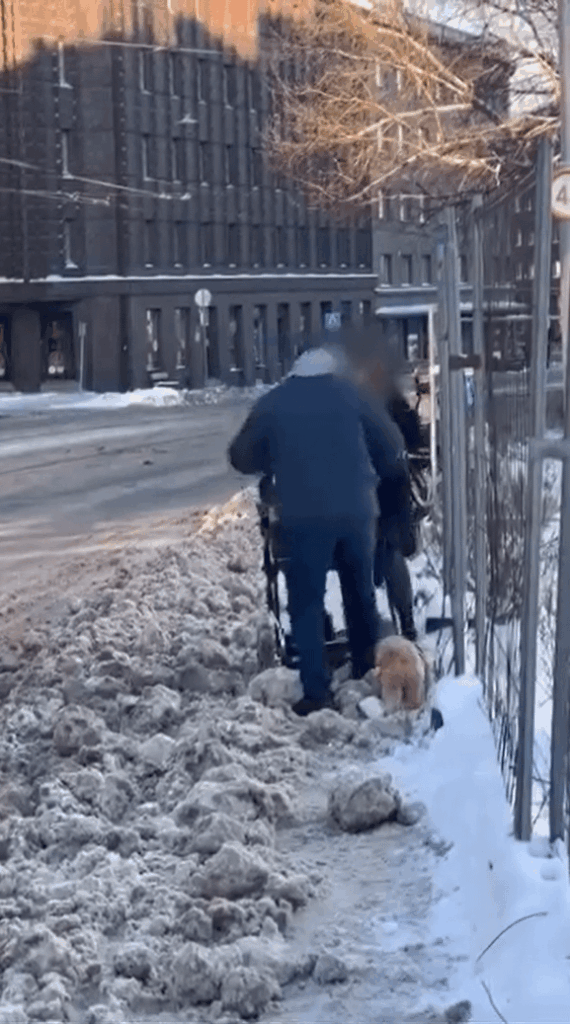 /r/エストニアでは動画は禁止ですが、FBでこんな動画が目に留まりました。タリンの除雪レベル。毎年ですが、タリンの皆さん、何か変化はありますか？私自身はそこからではありません。コメントセクションで、ドライバーが「実際に」ここでいじめを受けていることを正当化してください。