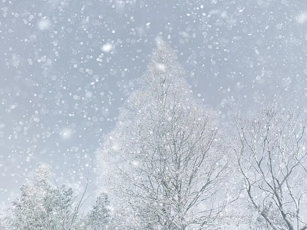 福岡県・平地でも大雪のおそれ 2日明け方から3日午前中にかけて | 福岡筑後のローカルメディア 筑後いこい 福岡県・平地でも大雪のおそれ 2日明け方から3日午前中にかけて