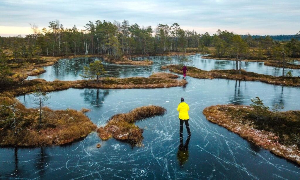 沼地でのアイススケート
