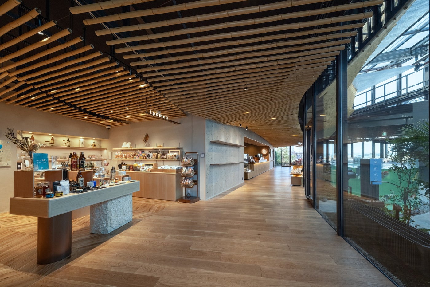 KIRISHIMA GREENSHIP icoia／提供画像