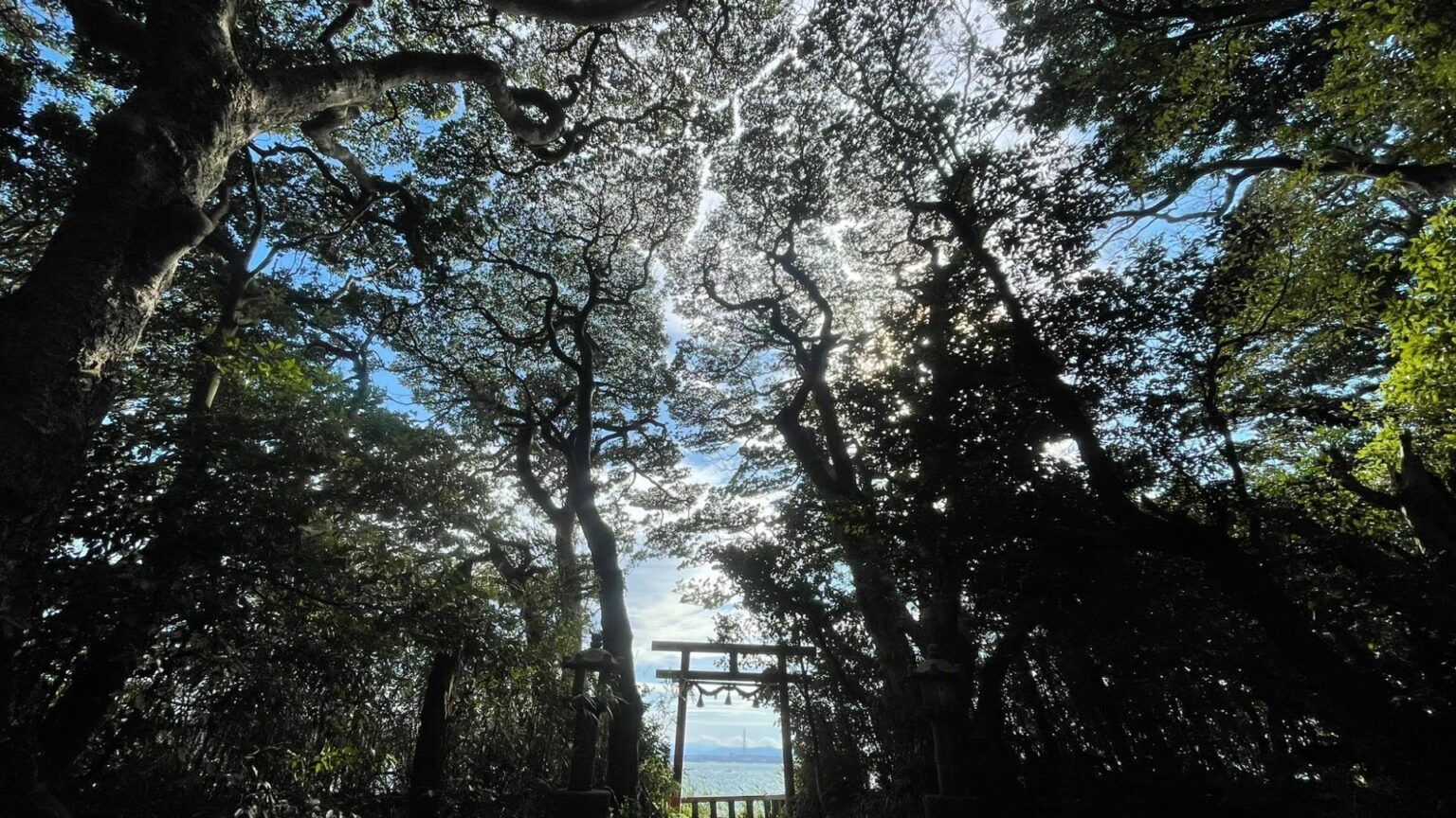 【福井県】東尋坊の近くで発生する「神秘的な自然現象」とは？（旅人間） - エキスパート - Yahoo!ニュース