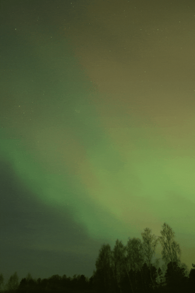 Ziemeļzmu gifs from this night