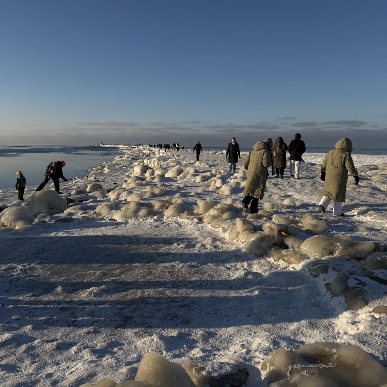 マンガルサラ 2026/01/31