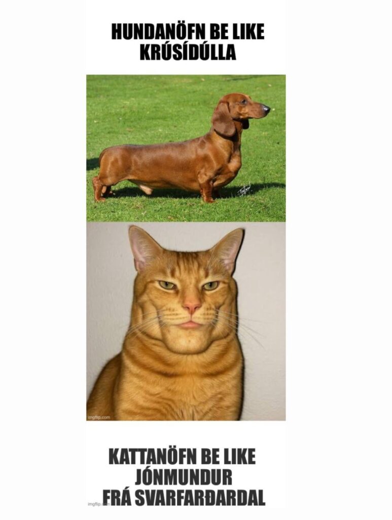 このジャムを作りました