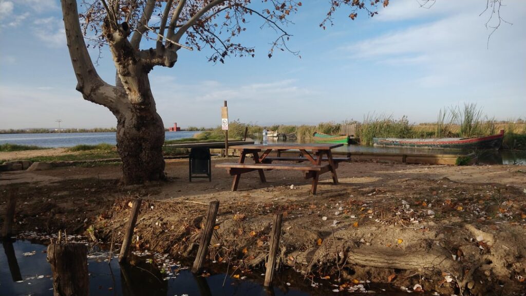 バレンシアには冬はなく、ただ快適な日があるだけです