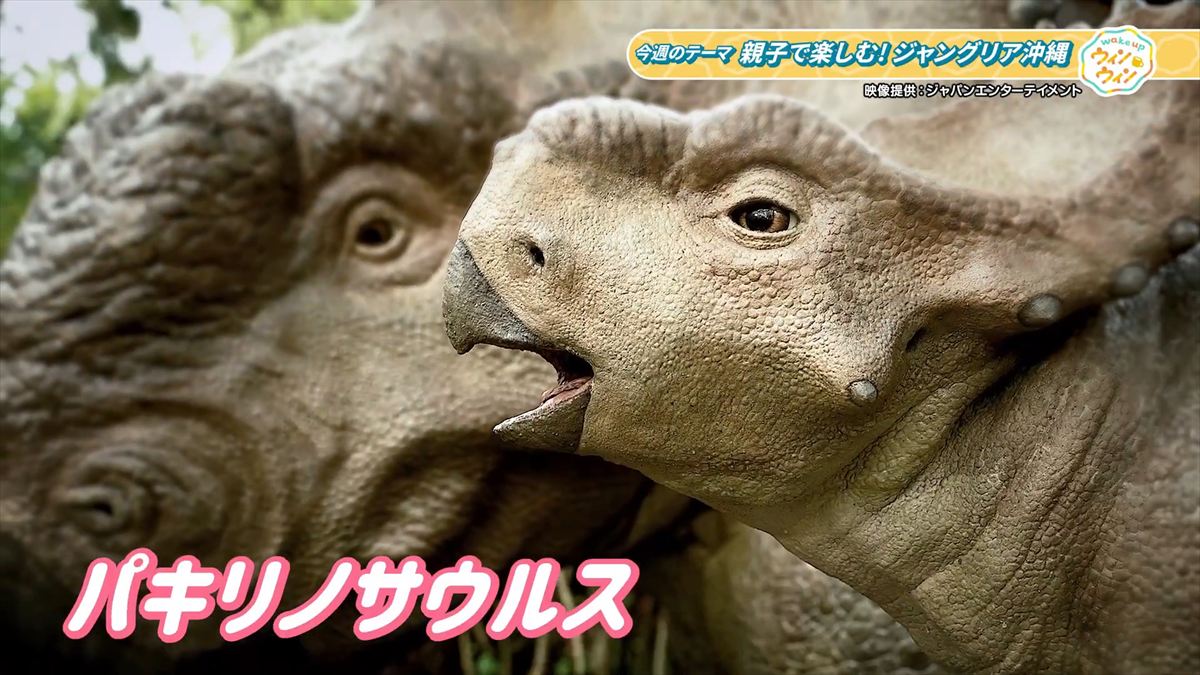 ウィンウィン　2026年1月18日放送