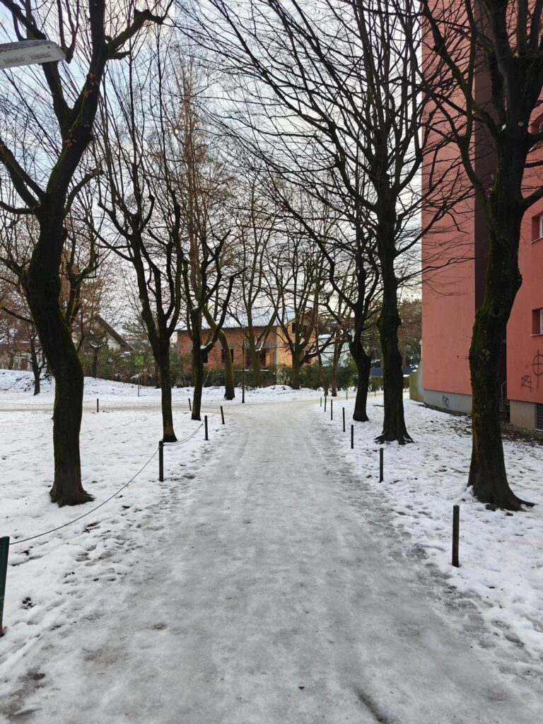 完璧に清掃された歩道に対してリュブリャナ市に感謝