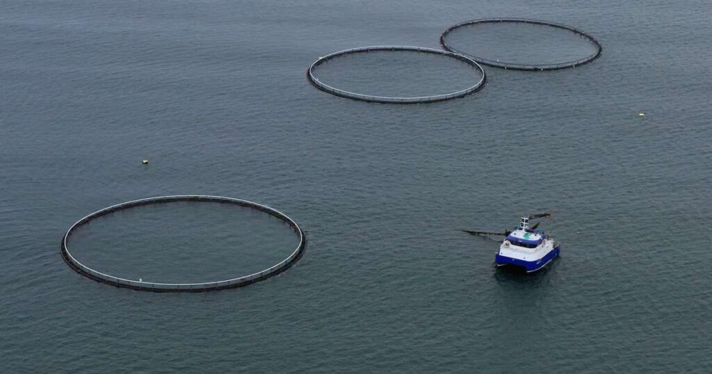 外国の大企業がアイスランドの法律に影響を与えようとしていると語る - RÚV.is