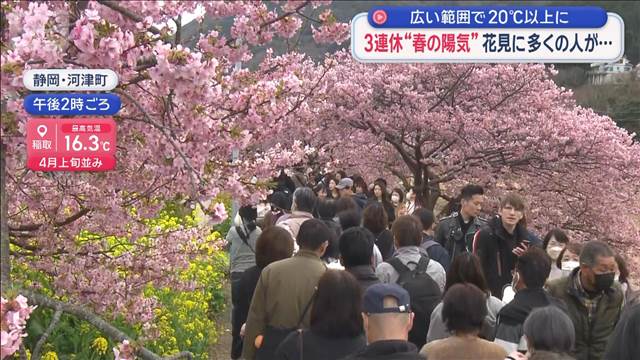 広い範囲で20℃以上に 3連休“春の陽気”花見に多くの人が | KSBニュース | KSB瀬戸内海放送