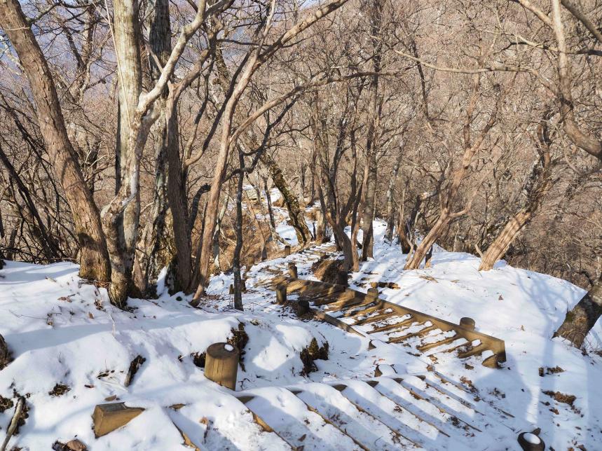 0205tutujishindo1450