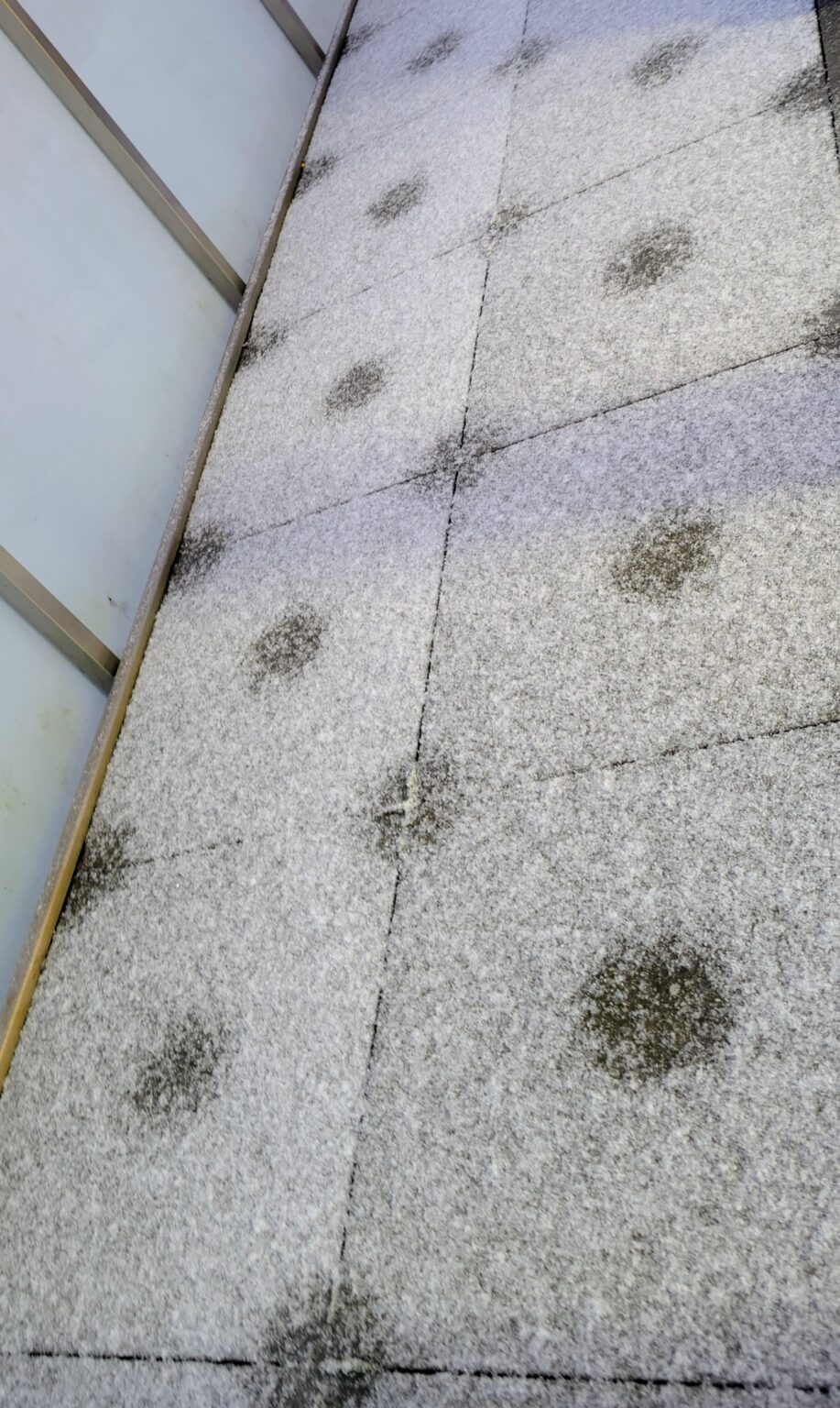雪の模様を知っています。降雪パターンを見たことがありません 🤔🤔