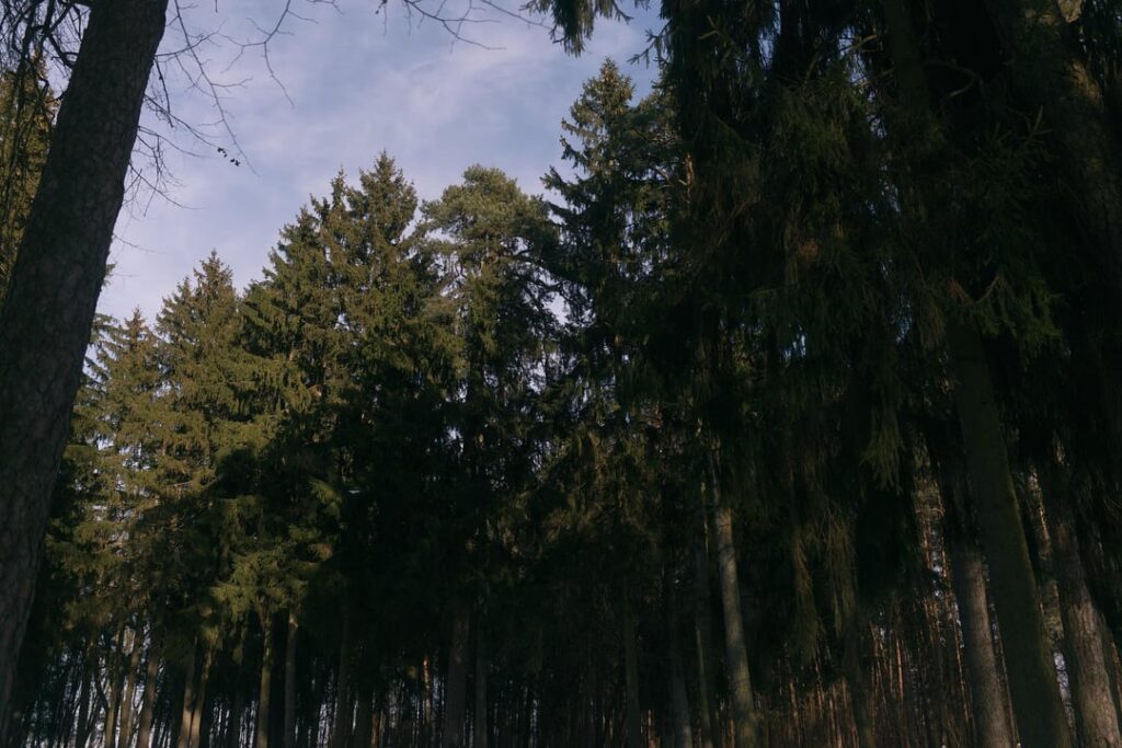 冬のビリニュス