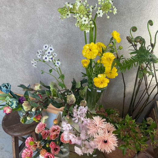 【鹿児島県大崎町】新月のトキメキ会 ／ sunty