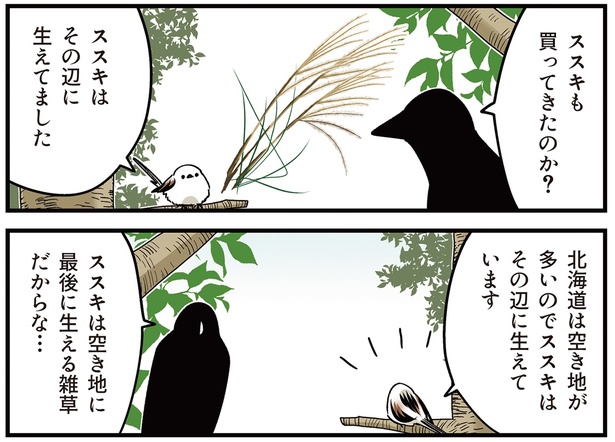 北海道は空き地が多いので