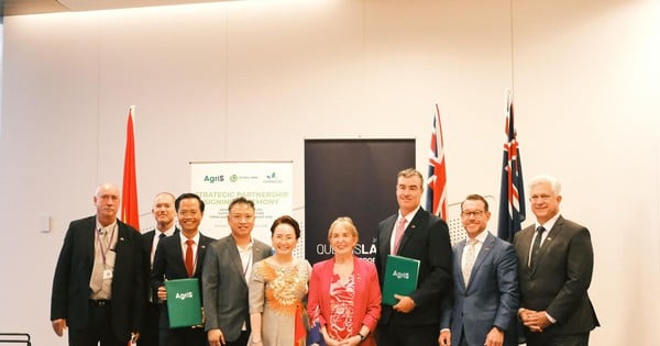 Vietnam.vn - Nền tảng quảng bá Việt Nam