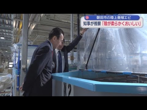 YouTube Video 静岡県の鈴木知事が、磐田市のエビの陸上養殖を視察　市は「磐田育ち幸福なエビ」としてブランド化を進めていて、ふるさと納税の返礼品にも採用