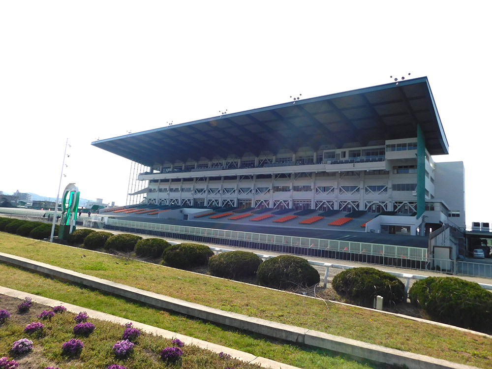 姫路競馬 重賞「兵庫ウインターカップ」開催日に解説番組を生配信 競馬通芸人や声優が登場【PR】 | ラジトピ ラジオ関西トピックス