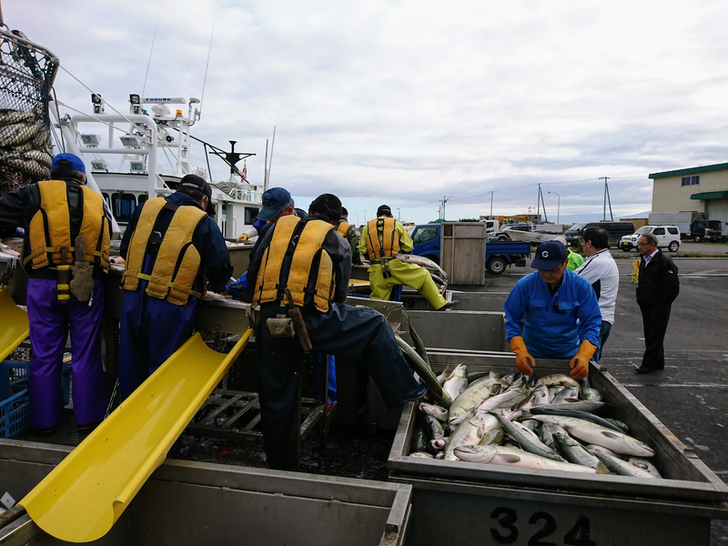 撮影：山本裕介