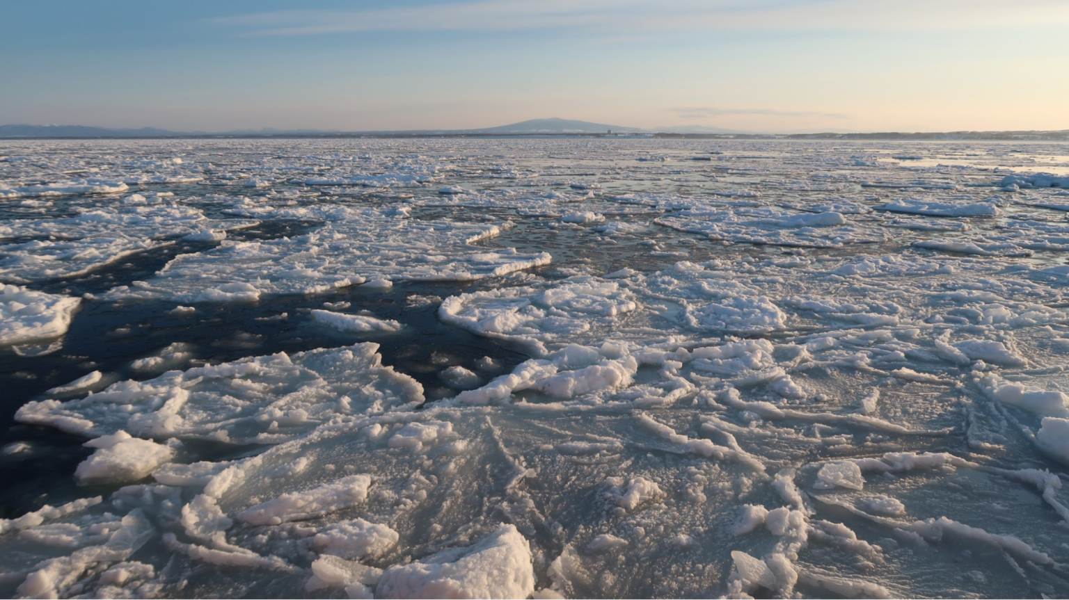 北海道・知床から奄美まで。子連れで15カ所リモートワークして知った「地方は稼げない」の嘘 | Business Insider Japan