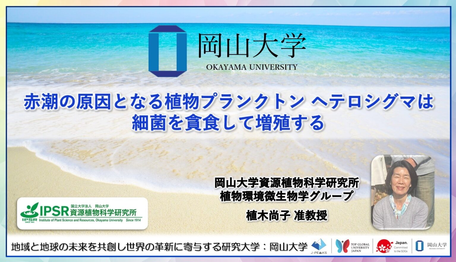 【岡山大学】赤潮の原因となる植物プランクトン ヘテロシグマは細菌を貪食して増殖する | 国立大学法人岡山大学のプレスリリース