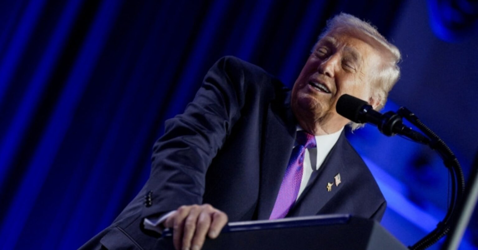 米国、欧州デジタル規制反対し「表現の自由」に資金提供＝米高官 | ロイター