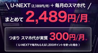 U-NEXT MOBILE set price
