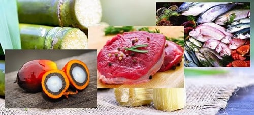 Sản xuất thủy sản tại Việt Nam năm 2025