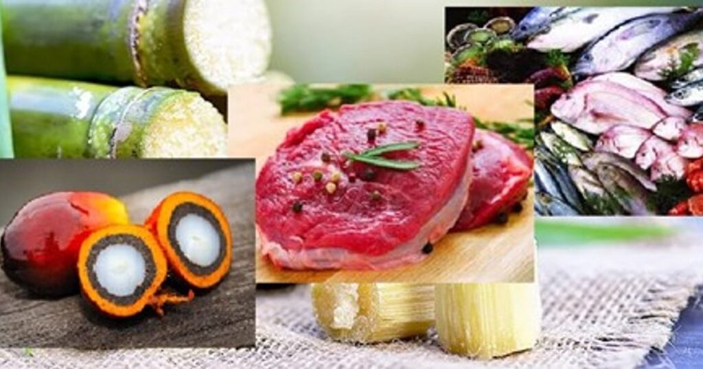 2025 年 10 月の食品市場: パーム油価格が変動、ブラジルでパンガシウス価格が急騰。 Header background