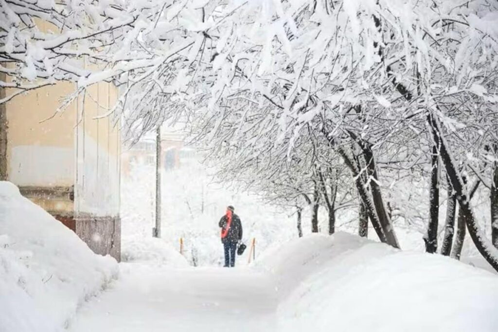 新潟県の豪雪地帯で撮影された光景に衝撃　家の前の状態に「これはヤバイ」 | LIMO | くらしとお金の経済メディア