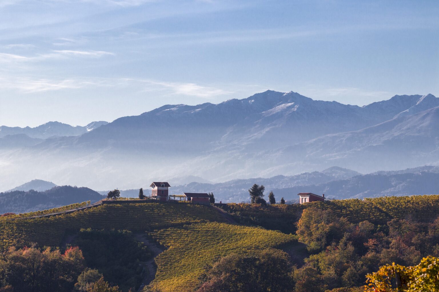 カフェ イタリア * 15/02/26