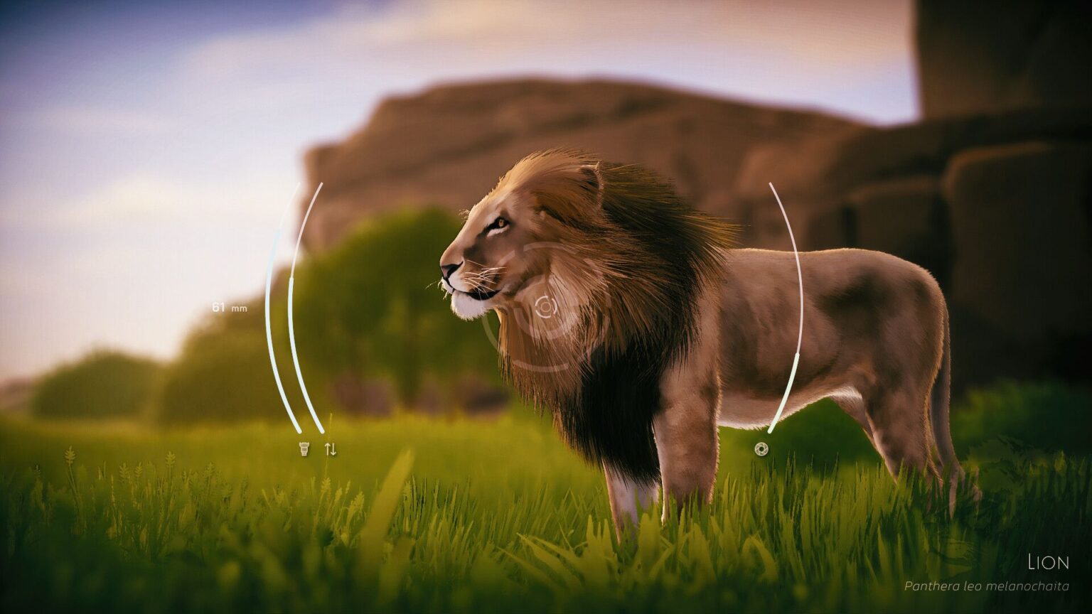 東アフリカで野生動物の写真を撮影する癒し系シム「Seclusa」,Steamでリリース。ゆったりとリラックスした時間を楽しめる 東アフリカで野生動物の写真を撮影する癒し系シム「Seclusa」,Steamでリリース。ゆったりとリラックスした時間を楽しめる