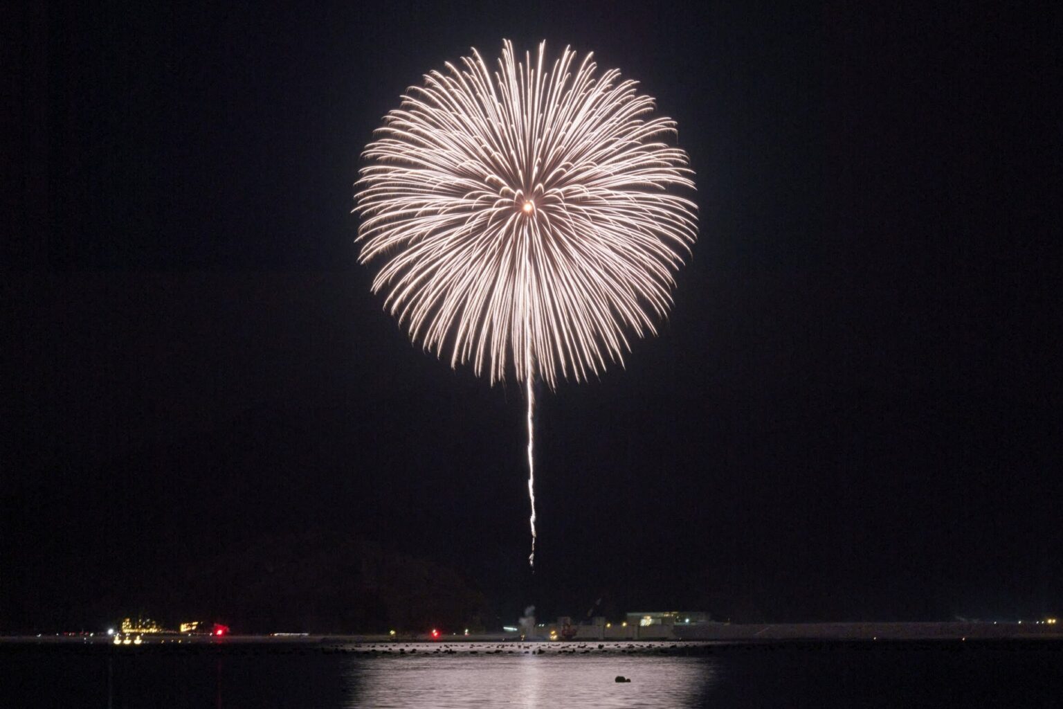 震災30年まで、咲かせ続ける 3.11鎮魂の花火「白菊」を次世代へ繋ぐ挑戦 | 株式会社　岩手日報社のプレスリリース