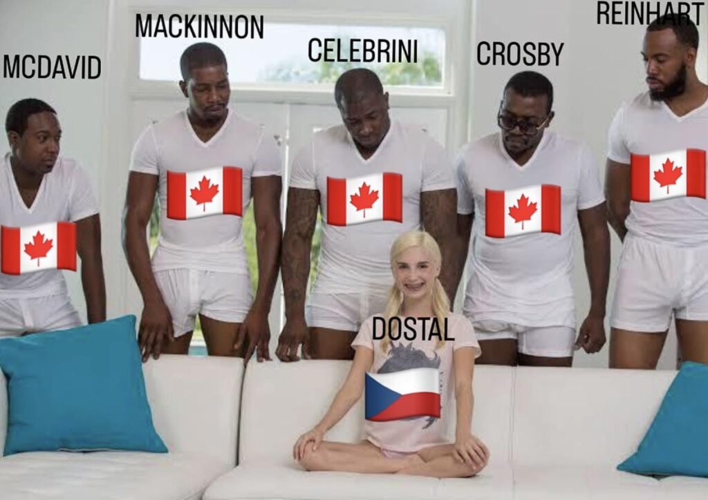 チェコ対カナダの準々決勝。今日はどう見えますか？