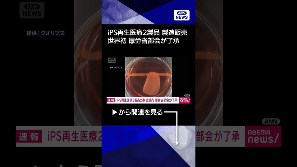 【ニュース】【速報】iPS細胞使った再生医療2製品　厚労省の専門部会が製造販売を了承　世界初へ #shorts