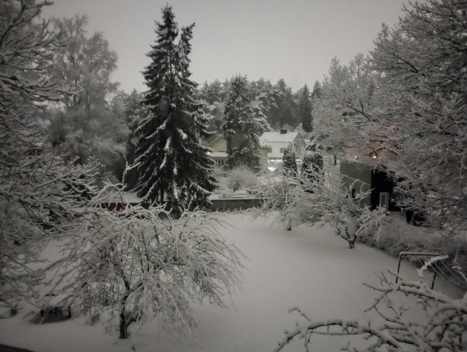トゥルクの午前1時30分、窓の外を眺める。