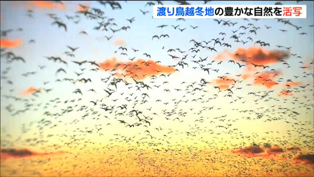 「伊豆沼・内沼フォトコンテスト」 豊かな自然の風景写真 約100点展示 宮城・栗原市(tbc東北放送)|dメニューニュース(NTTドコモ) 「伊豆沼・内沼フォトコンテスト」 豊かな自然の風景写真 約100点展示 宮城・栗原市