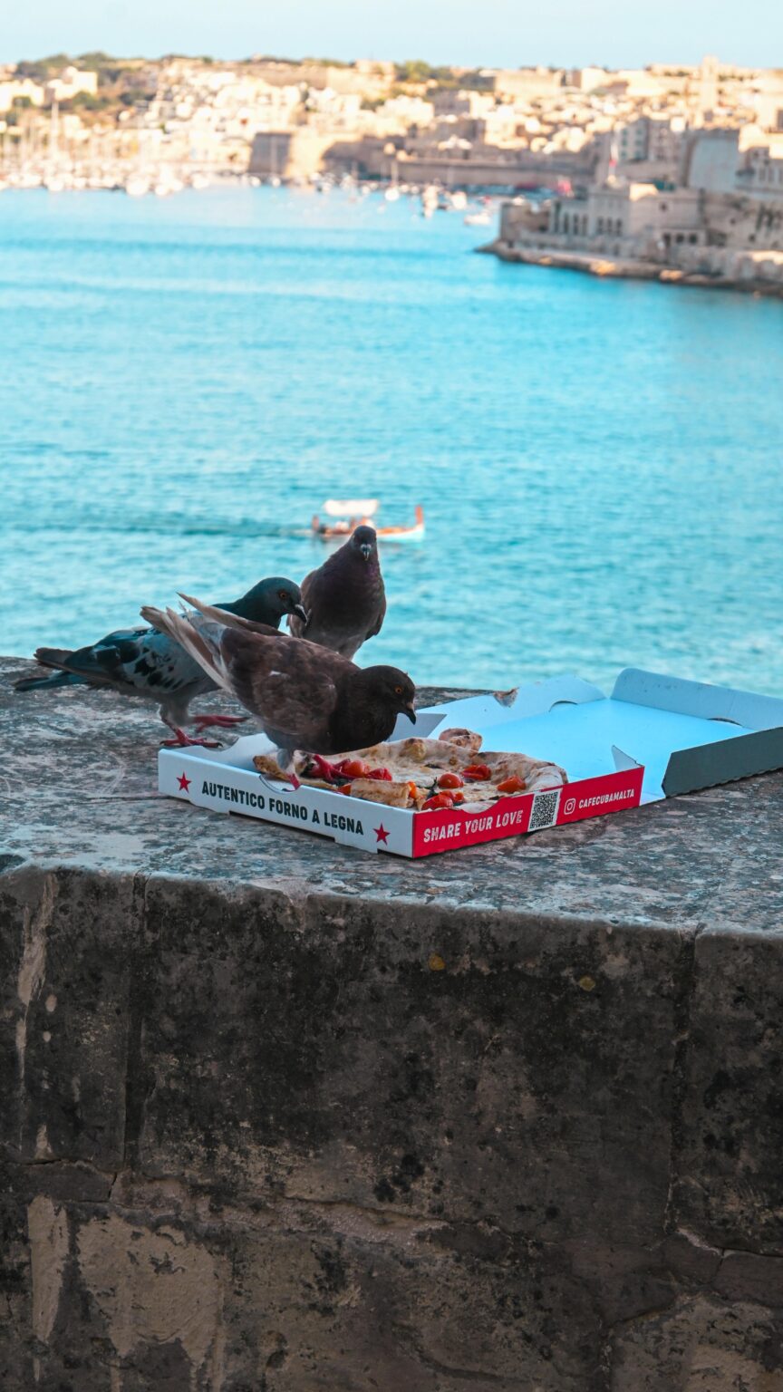 ピザを楽しむ - @ Lower Barrakka