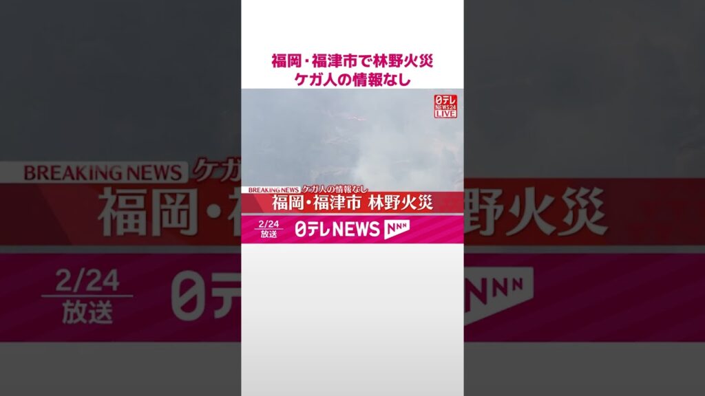 【速報】福岡・福津市で林野火災  ケガ人の情報なし  #shorts