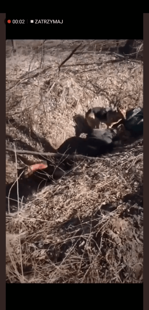 私はロシア人を心の底から憎んでいます（控えめに言って禁止を覚悟しています）