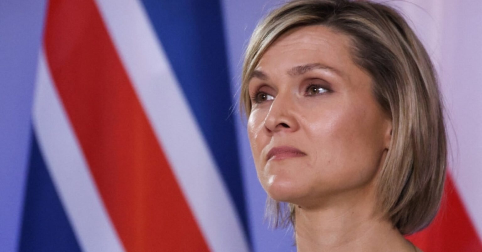 アイスランド、ＥＵ加盟交渉再開へ数カ月以内に国民投票＝首相 | ロイター