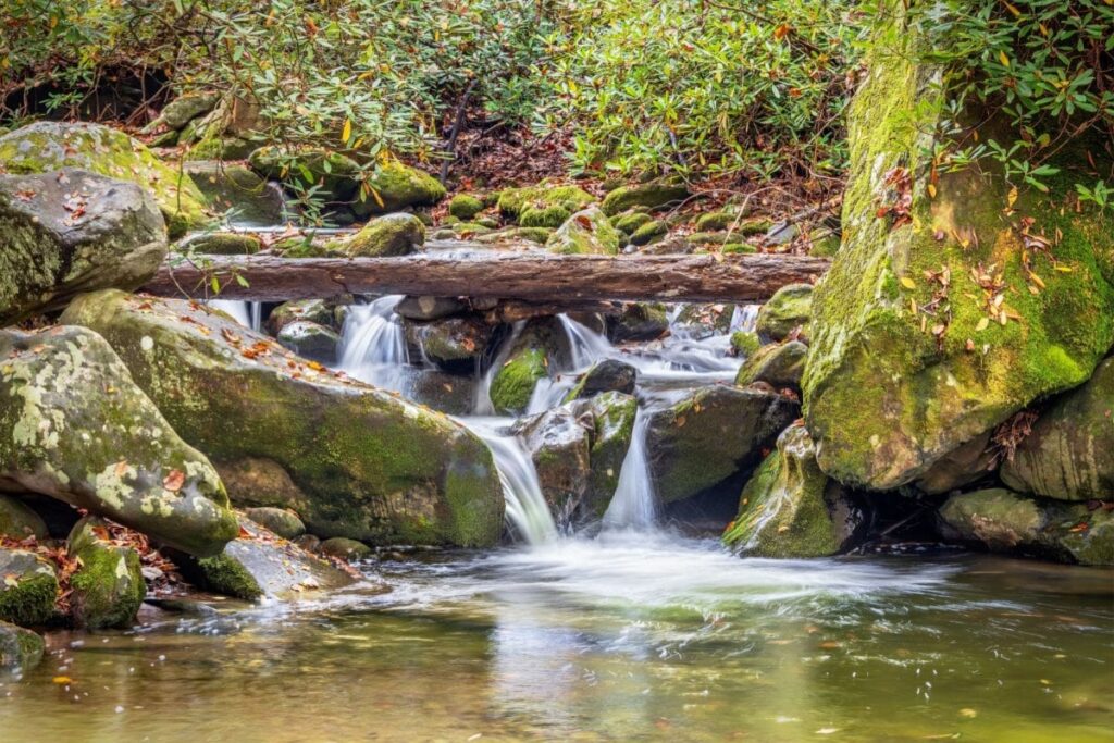 兵庫県の山中にある「沢の水質」に驚き 透明な水と「注意喚起看板」のギャップが話題に | LIMO | くらしとお金の経済メディア 兵庫県の山中にある「沢の水質」に驚き 透明な水と「注意喚起看板」のギャップが話題に | LIMO | くらしとお金の経済メディア