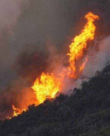 岡山の８２歳男性を書類送検へ　山林火災、重過失失火容疑