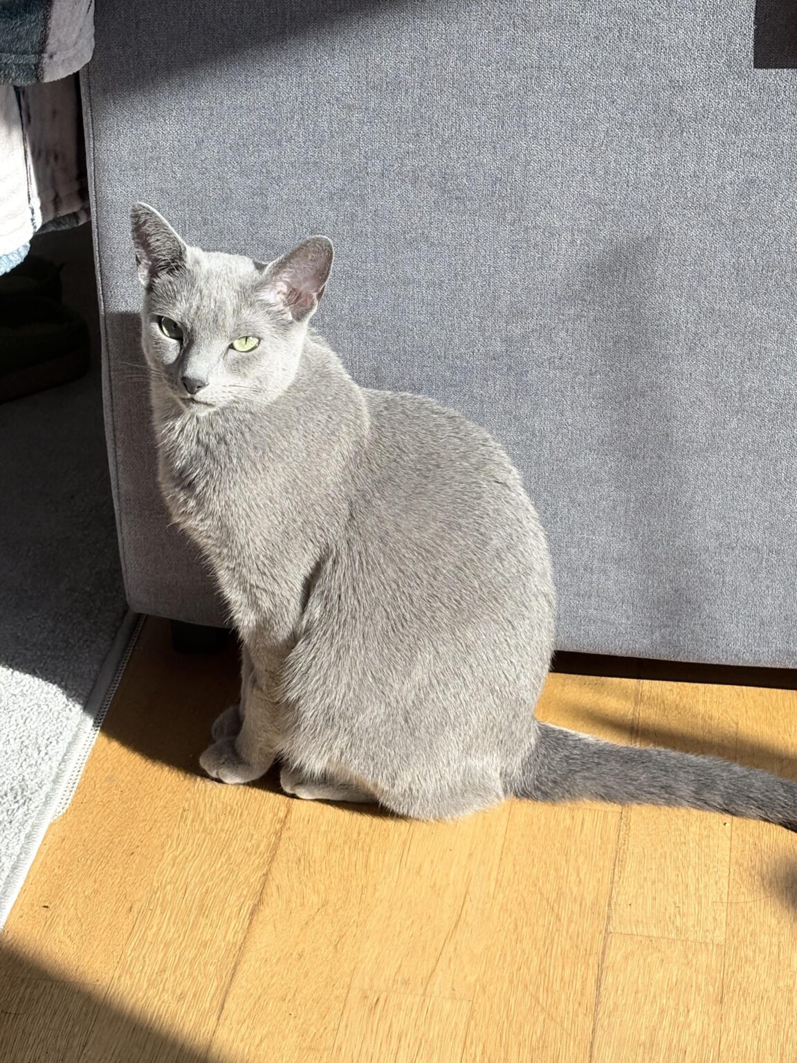 ルクセンブルクでChuru’sはどこで買える？