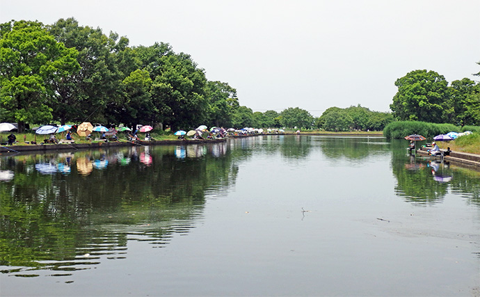 今週のヘラブナ推薦釣り場2026【群馬県・群馬の水郷】