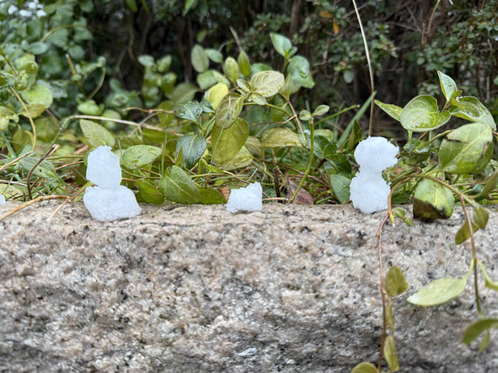 宇治橋通りのミニ雪だるまの画像